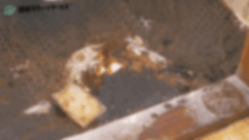 体液で排水溝が詰まる