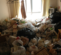 ゴミ屋敷片付け 作業前の写真