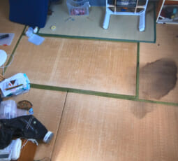 特殊清掃 作業前の写真