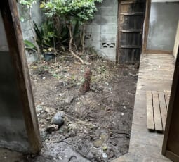 不用品回収 撤去後の写真