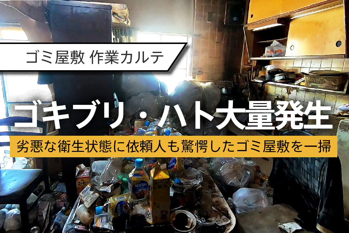ゴキブリ発生するゴミ屋敷の片付け