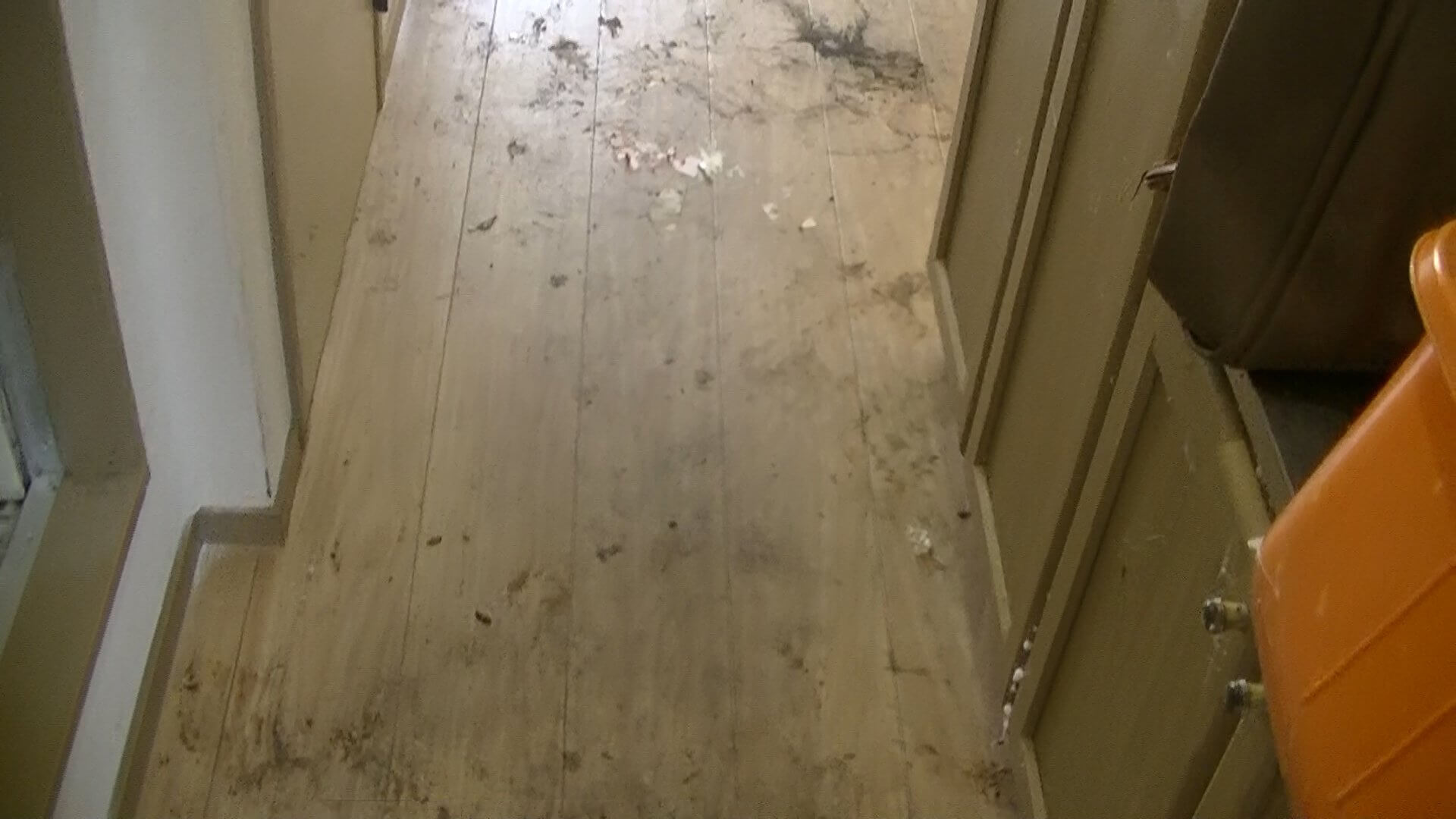 ゴミを片づけた後の廊下