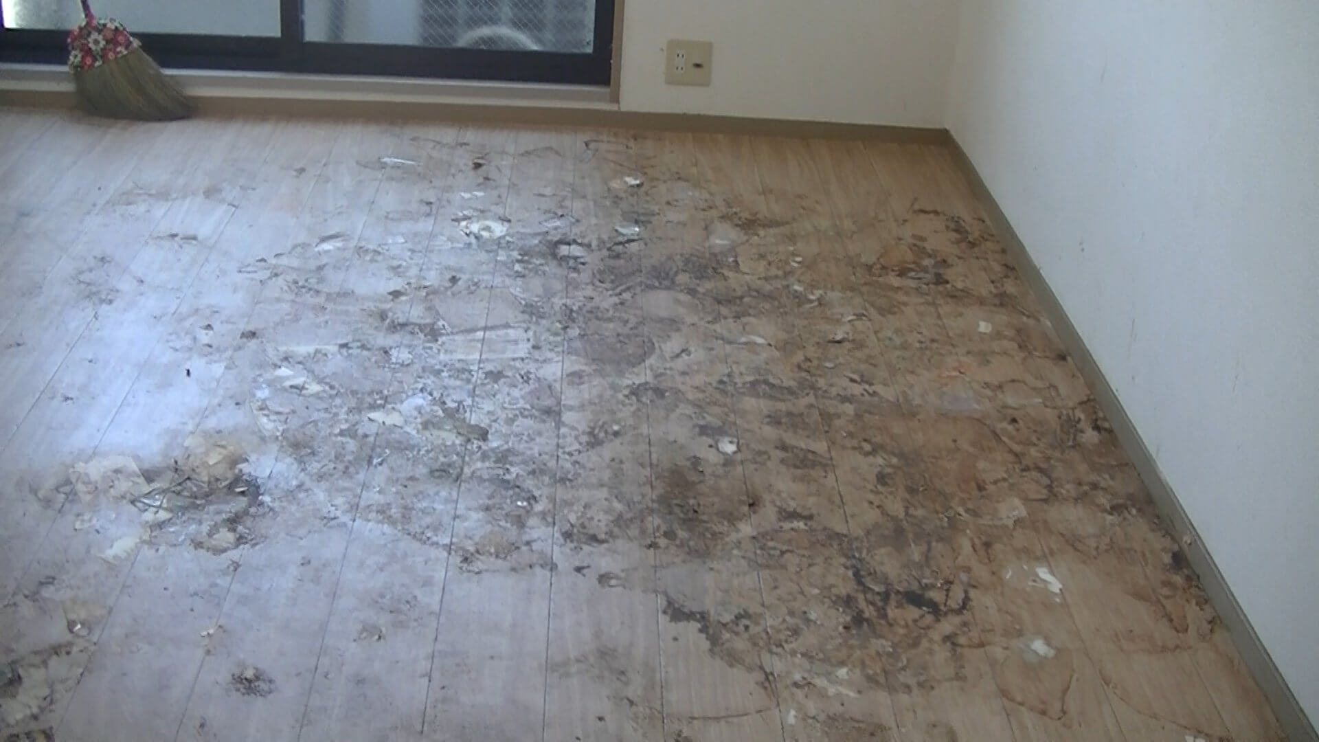 ゴミを片づけた後のリビング