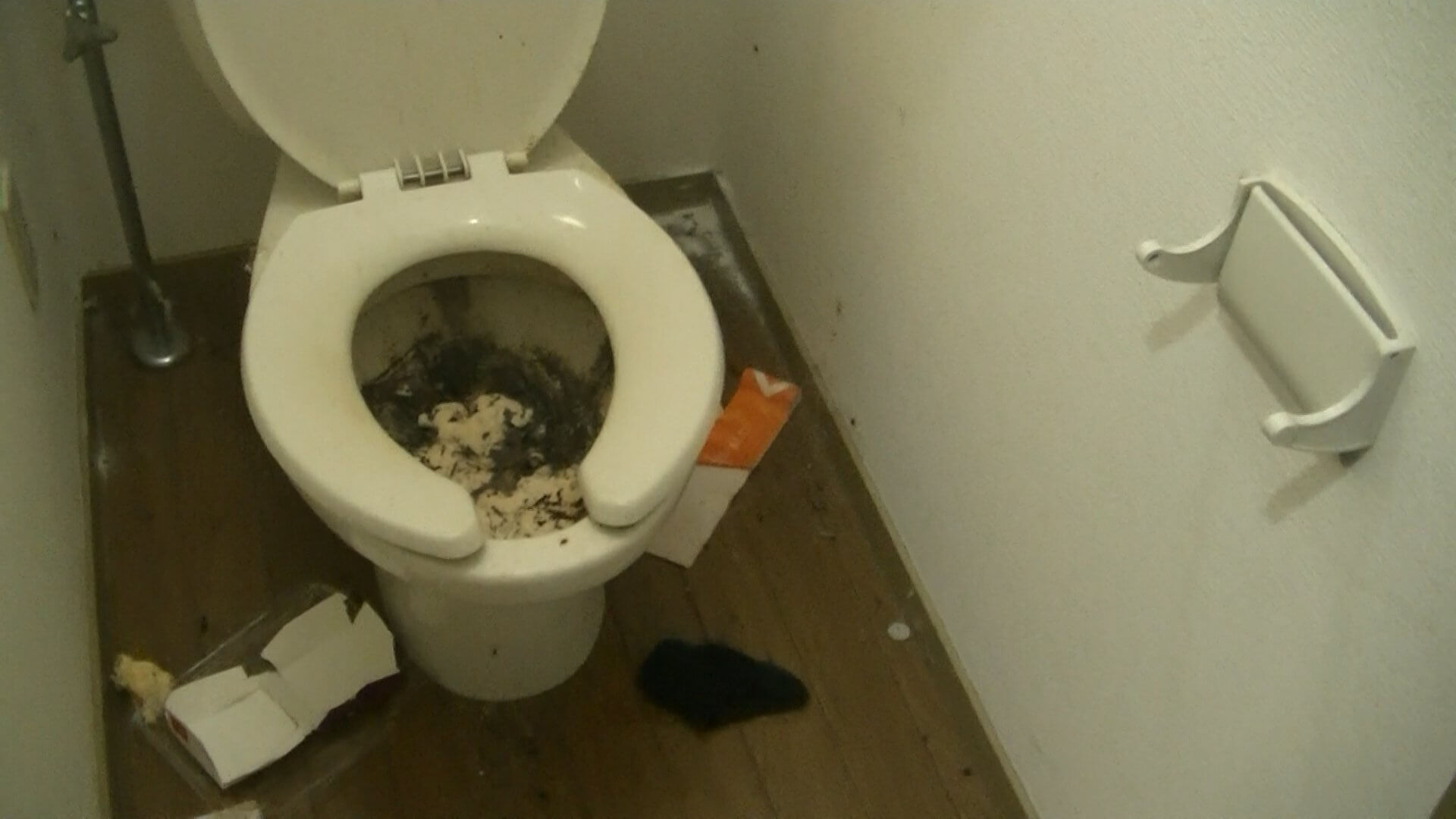 ゴミ屋敷のトイレ