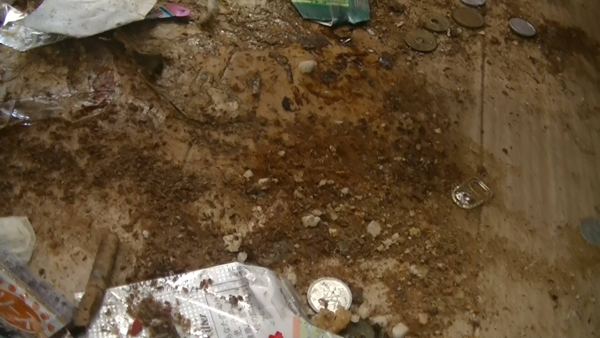 ゴミ屋敷の床