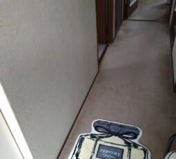 不用品回収 撤去後の写真