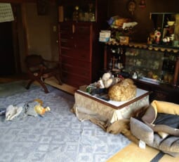 お部屋の片付け・生前整理 作業前の写真