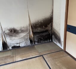 遺品整理 撤去後の写真