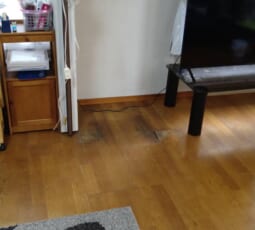 不用品回収 撤去後の写真