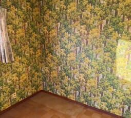 遺品整理 撤去後の写真