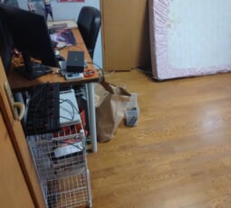 汚部屋 撤去後の写真