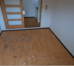 大量の不用品回収（ゴミ屋敷） 撤去後の写真