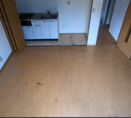 大量の不用品回収（ゴミ屋敷） 撤去後の写真