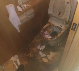 特殊清掃 作業前の写真