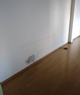大阪府大阪市中央区 J様の不用品回収作業後のご自宅の写真